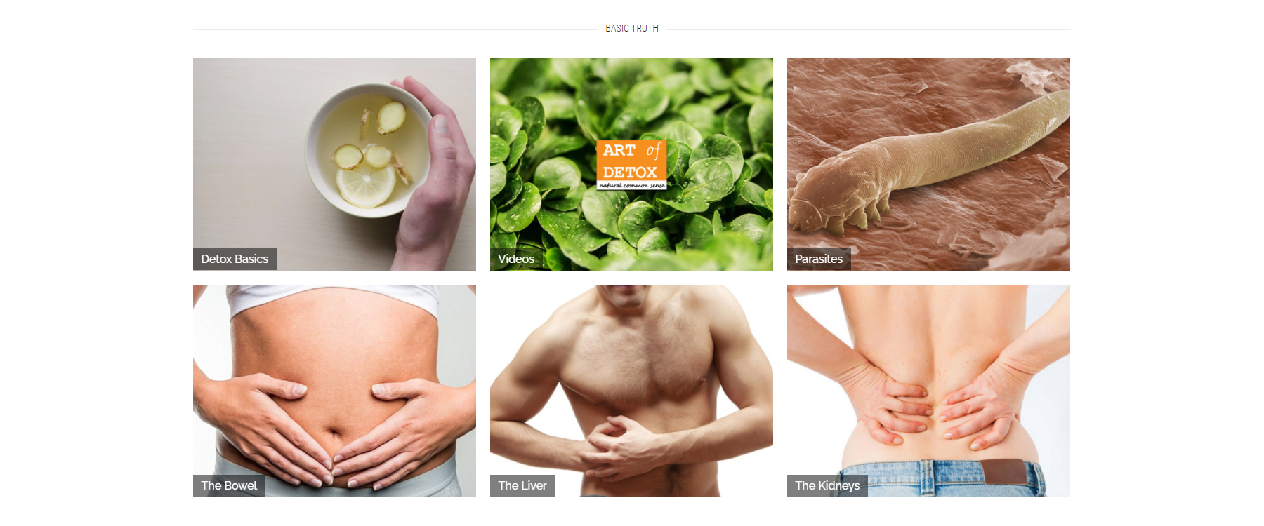 Art Of Detox Image 2