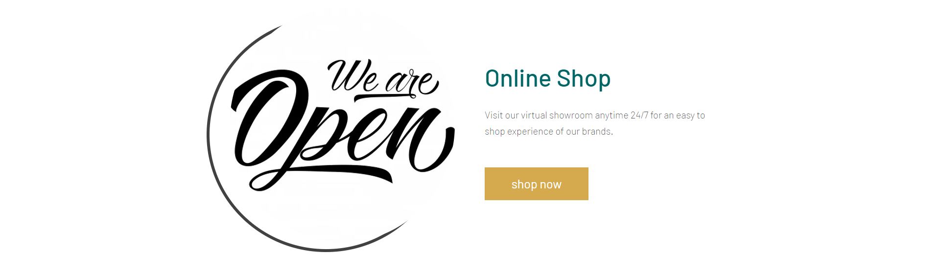 Ilene Oren _ Co image 3