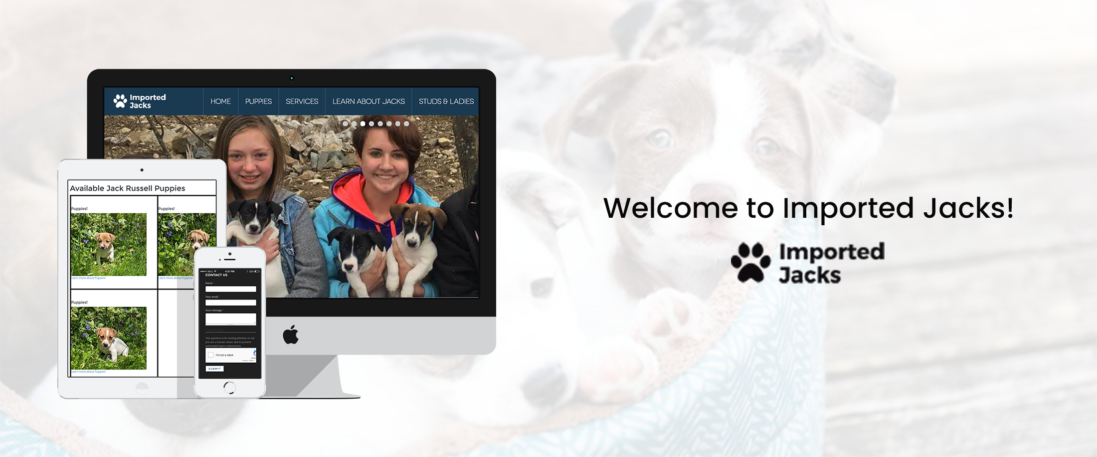 Imported jacks - Banner