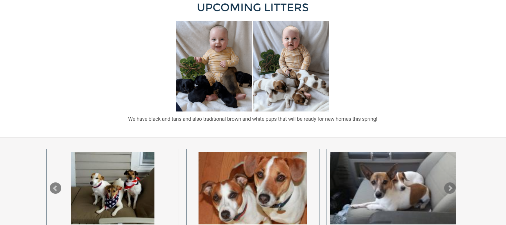 Imported jacks - Image 2