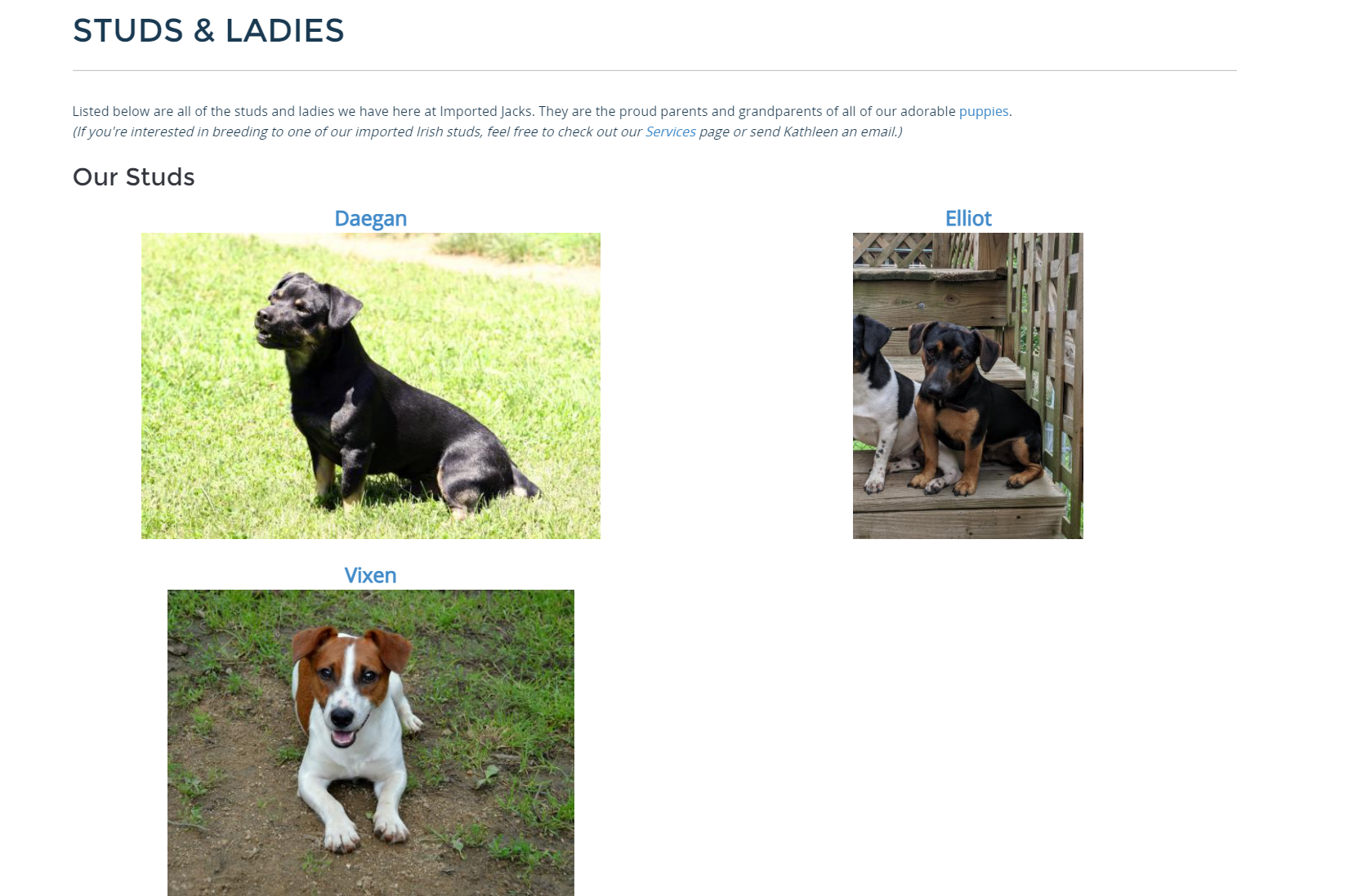 Imported jacks - image 3