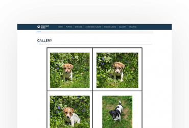 Imported jacks Thumbnail